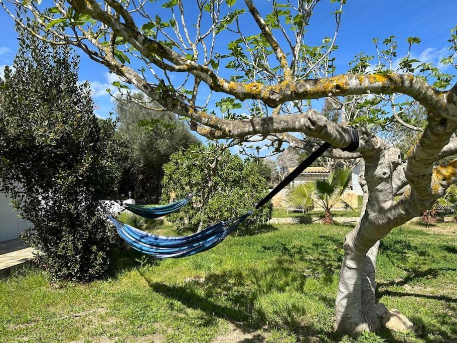 Finca Roberto Villa Can Picafort  Buitenkant foto