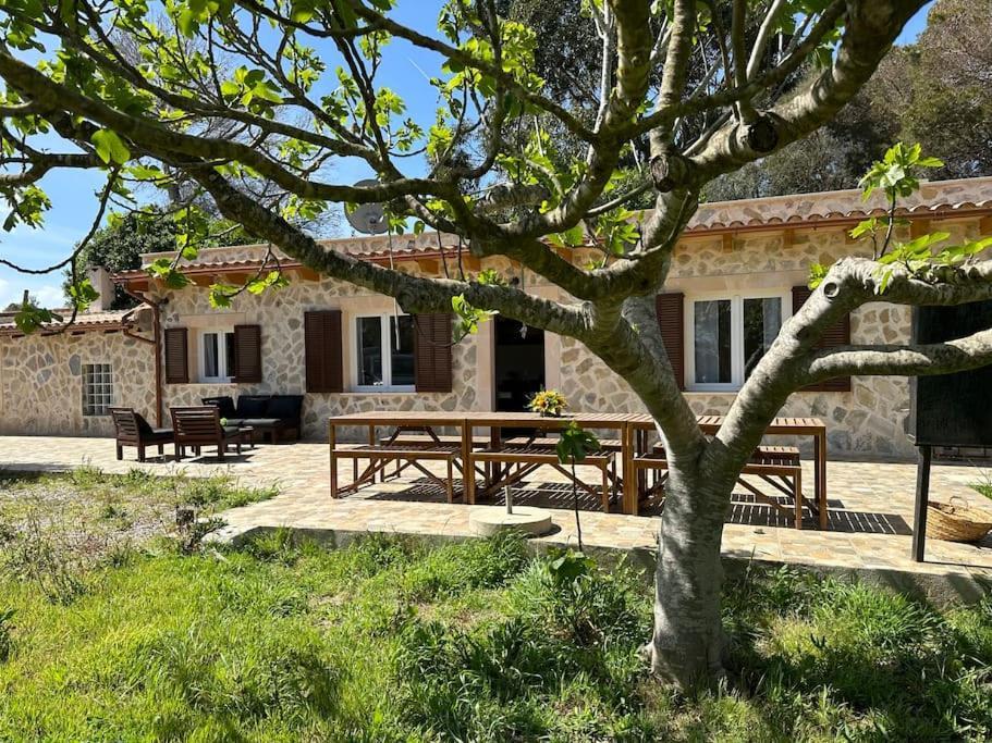 Finca Roberto Villa Can Picafort  Buitenkant foto