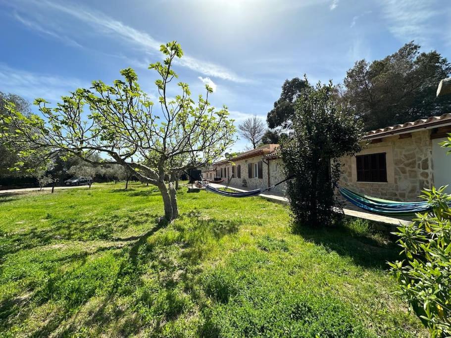 Finca Roberto Villa Can Picafort  Buitenkant foto