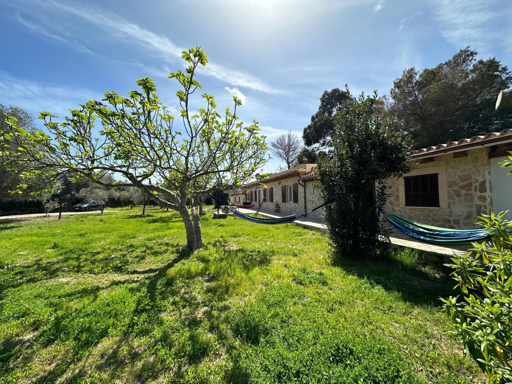 Finca Roberto Villa Can Picafort  Buitenkant foto