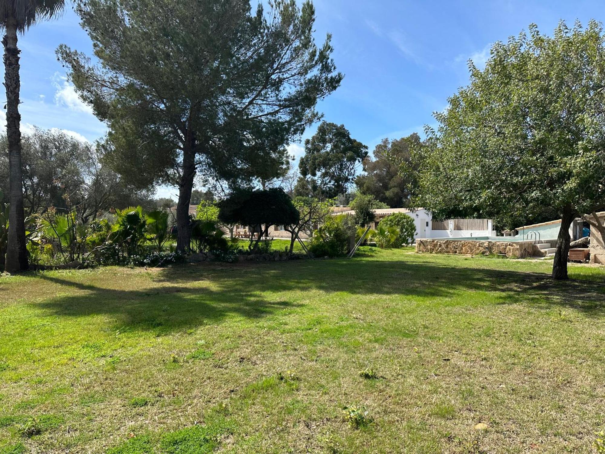 Finca Roberto Villa Can Picafort  Buitenkant foto